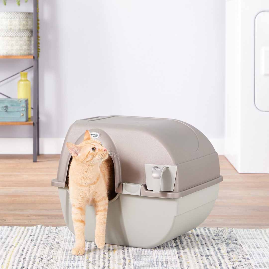 Cat Litter Trays and Accessories