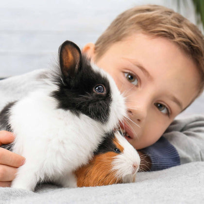 Small Animal Health