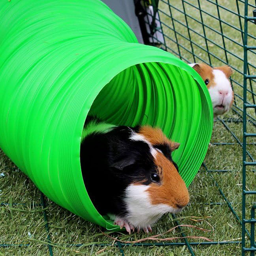 Small Animal Bowls & Feeders