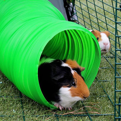 Small Animal Bowls & Feeders