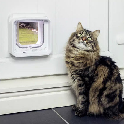 Cat Flaps