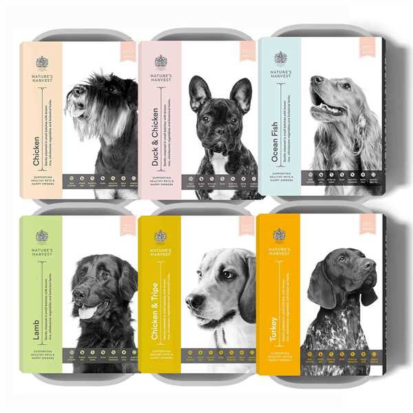 Wet Dog Food