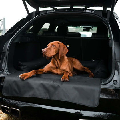 Dog Crates & Carriers