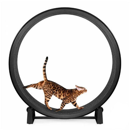 Cat Trees & Scratchers