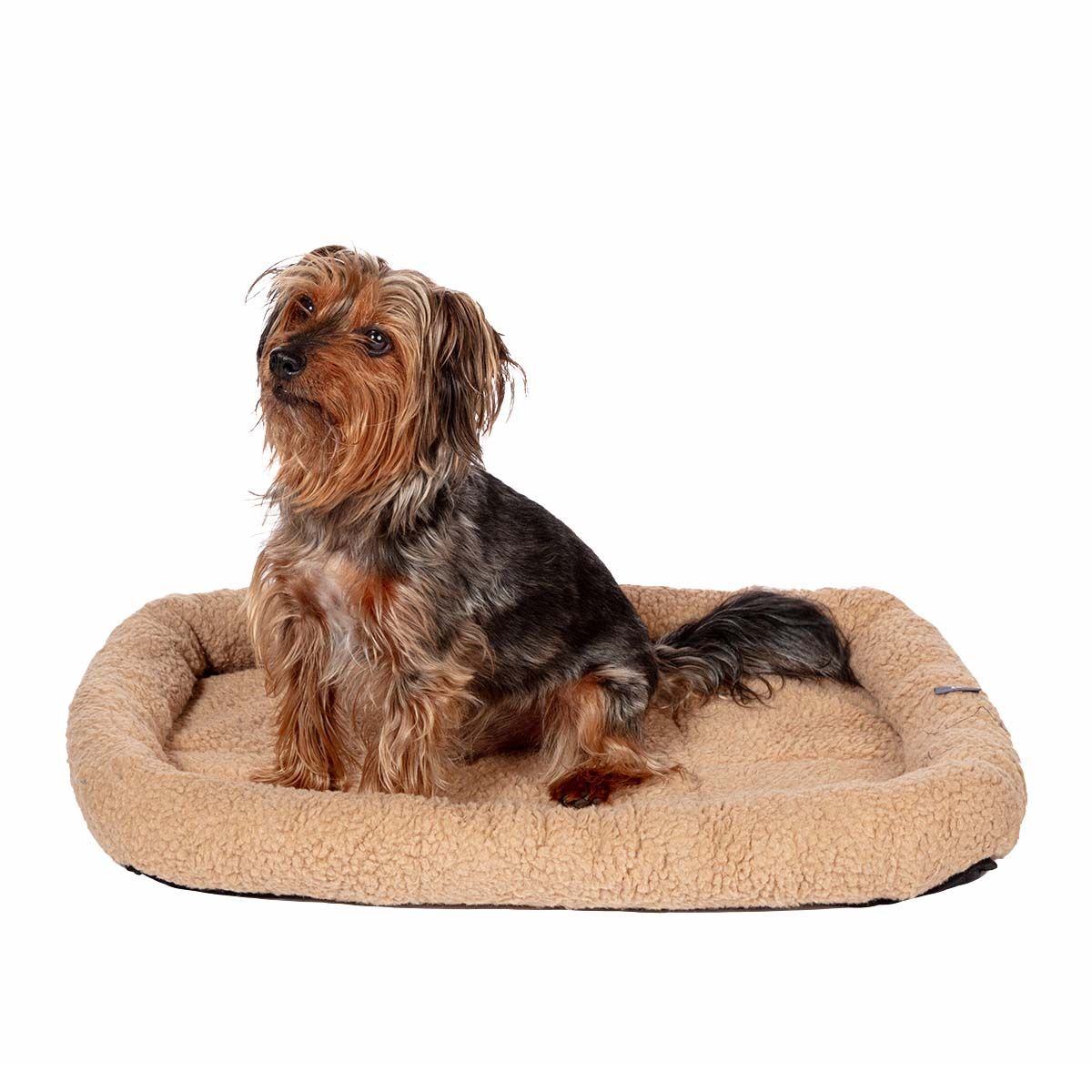 Dog Beds