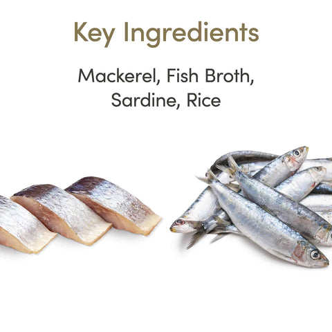 Applaws Adult Wet Cat Food Mackerel with Sardine in Broth - Tins 24x70g