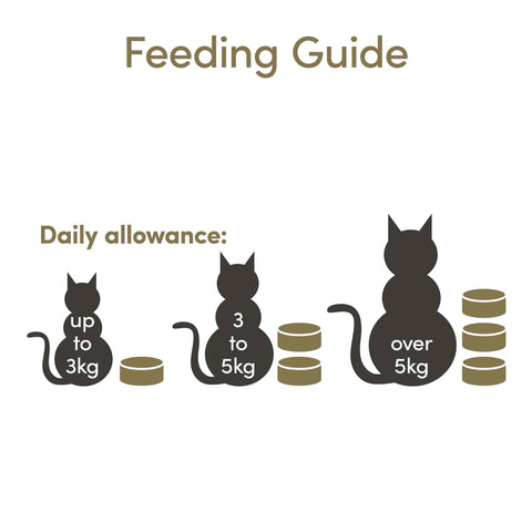 Applaws Adult Wet Cat Food in Broth - Chicken Selection - 12x70g Cans