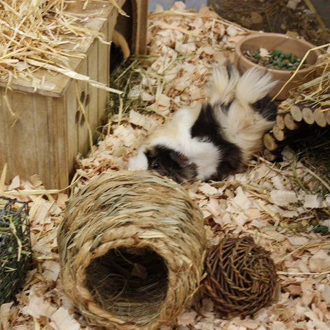 Happy Pet Jumbo Grass House