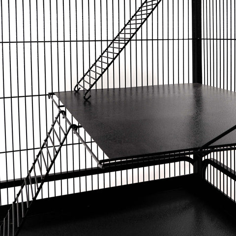 Rat & Ferret Cage by Petplanet