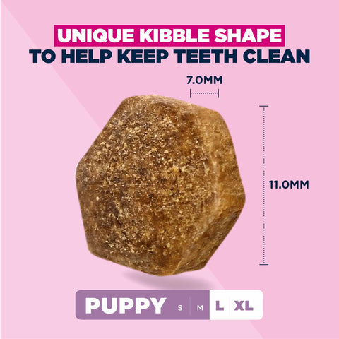 Eukanuba Large Breed Puppy Dry Dog Food - Lamb & Rice