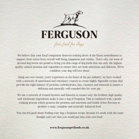 Ferguson Scottish Salmon Adult Dry Dog Food