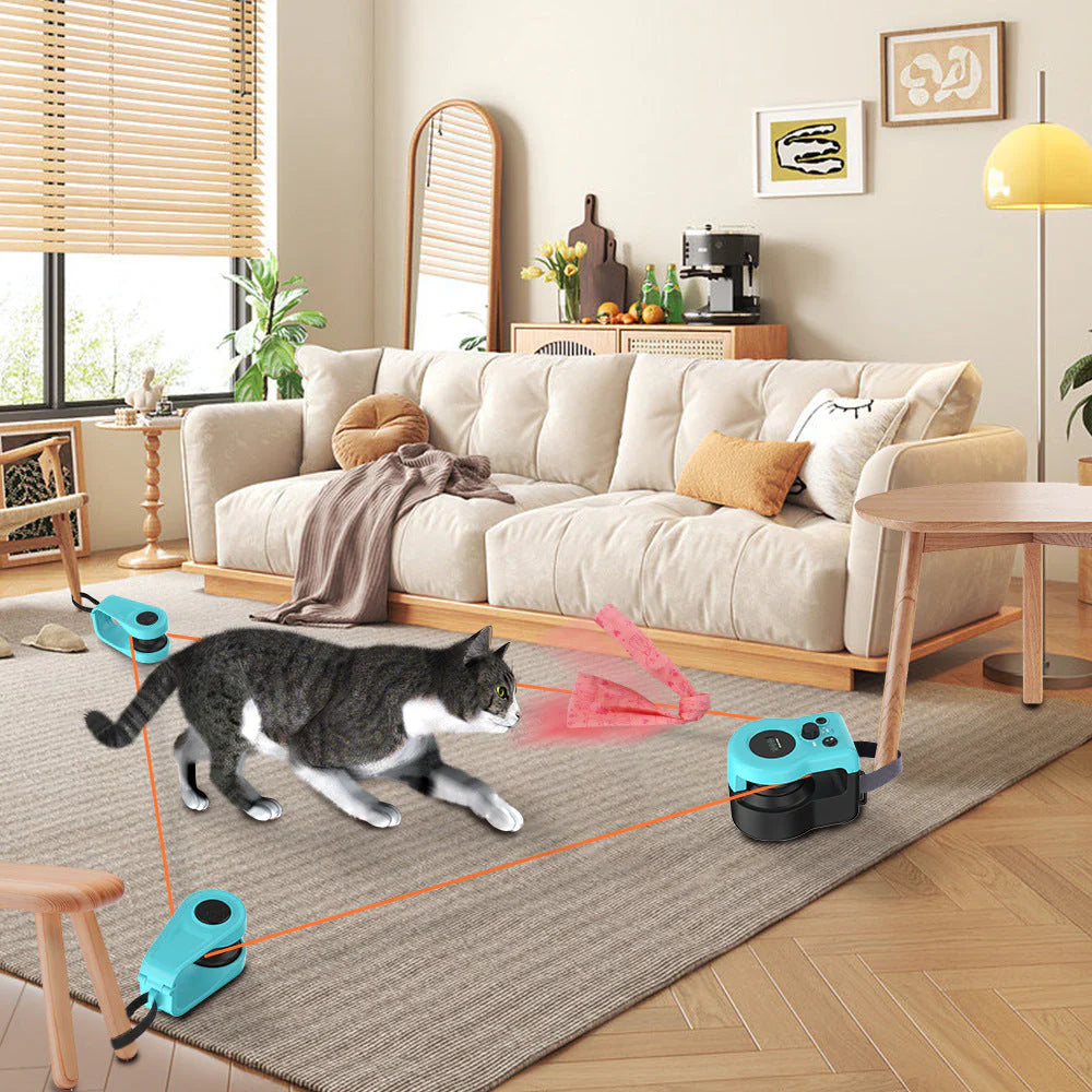 Chase Mate Cat & Dog Exercise Toys