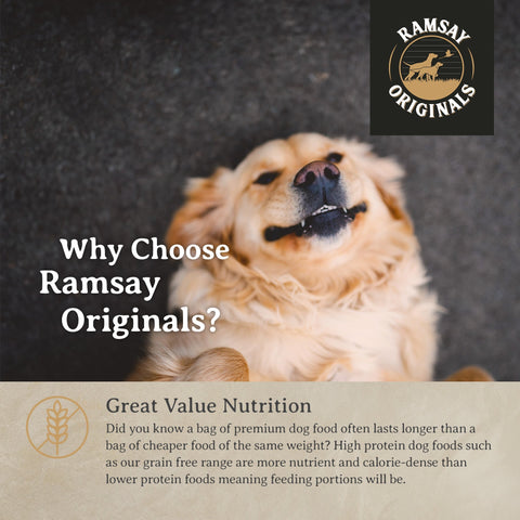 Ramsay Originals Grain Free Adult Dry Dog Food - Salmon & Potato